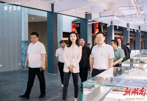 永定區(qū)工商聯(lián)推動(dòng)民企‘走出去，請(qǐng)進(jìn)來(lái)’，助力經(jīng)濟(jì)與文化雙騰飛